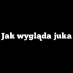 Jak wygląda juka