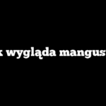 Jak wygląda mangusta?