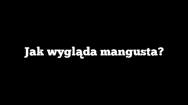 Jak wygląda mangusta?