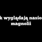 Jak wyglądają nasiona magnolii