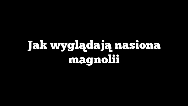Jak wyglądają nasiona magnolii