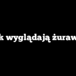 Jak wyglądają żurawki