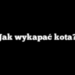 Jak wykapać kota?