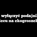 Jak wyłączyć podajnik w piecu na ekogroszek?