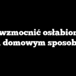 Jak wzmocnić osłabionego kota domowym sposobem?