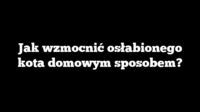 Jak wzmocnić osłabionego kota domowym sposobem?