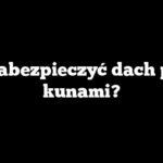 Jak zabezpieczyć dach przed kunami?