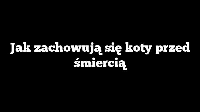 Jak zachowują się koty przed śmiercią