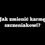 Jak zmienić karmę szczeniakowi?