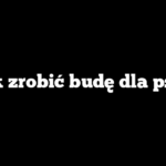 Jak zrobić budę dla psa?