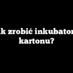 Jak zrobić inkubator z kartonu?