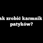Jak zrobić karmnik z patyków?