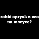 Jak zrobić oprysk z czosnku na mszyce?