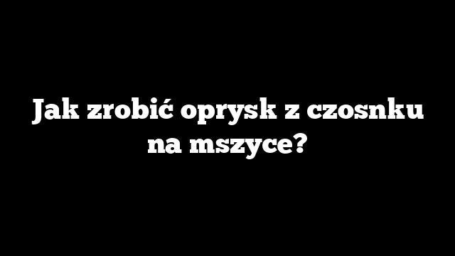 Jak zrobić oprysk z czosnku na mszyce?
