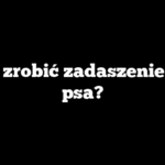 Jak zrobić zadaszenie dla psa?