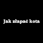 Jak złapać kota