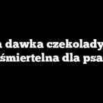 Jaka dawka czekolady jest śmiertelna dla psa