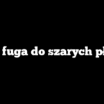 Jaka fuga do szarych płytek