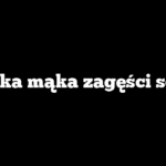 Jaka mąka zagęści sos
