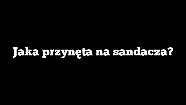 Jaka przynęta na sandacza?