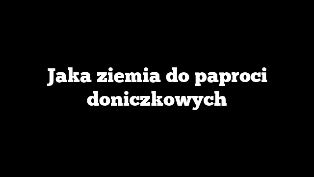 Jaka ziemia do paproci doniczkowych