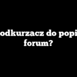 Jaki odkurzacz do popiołu – forum?
