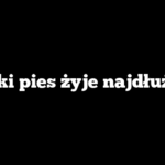 Jaki pies żyje najdłużej