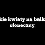 Jakie kwiaty na balkon słoneczny