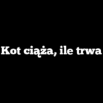 Kot ciąża, ile trwa