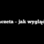 Maczeta – jak wygląda?