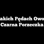 Na Jakich Pędach Owocuje Czarna Porzeczka
