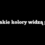 Na jakie kolory widzą psy?