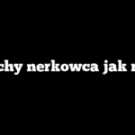 Orzechy nerkowca jak rosną