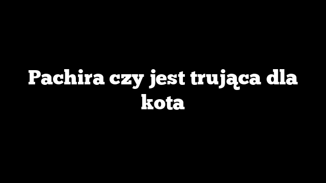 Pachira czy jest trująca dla kota