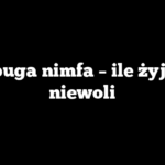 Papuga nimfa – ile żyje w niewoli