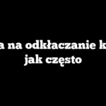 Pasta na odkłaczanie kota – jak często