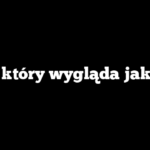 Pies, który wygląda jak mop