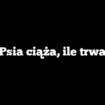 Psia ciąża, ile trwa