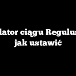 Regulator ciągu Regulus RT4 jak ustawić