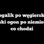 Rogalik po węgiersku, Świński ogon po niemiecku, o co chodzi