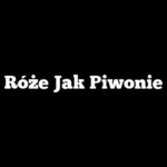 Róże Jak Piwonie