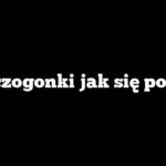 Skoczogonki jak się pozbyć