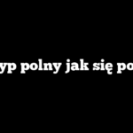 Skrzyp polny jak się pozbyć