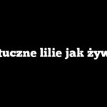 Sztuczne lilie jak żywe?