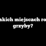W jakich miejscach rosną grzyby?